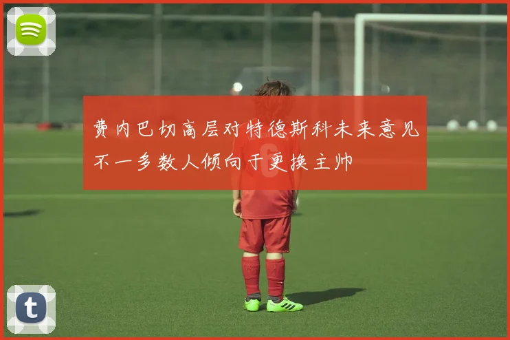 费内巴切高层对特德斯科未来意见不一多数人倾向于更换主帅