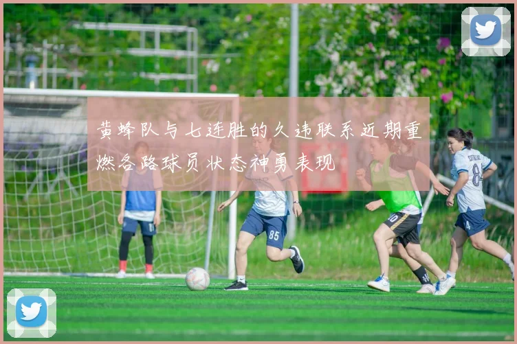 黄蜂队与七连胜的久违联系近期重燃各路球员状态神勇表现