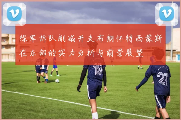 绿军拆队削减开支布朗怀特西蒙斯在东部的实力分析与前景展望