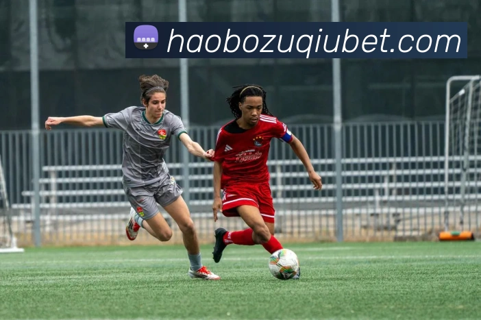 App Interface Preview