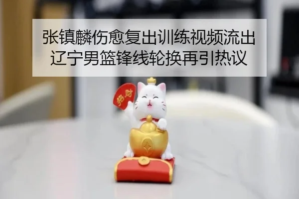 张镇麟伤愈复出训练视频流出 辽宁男篮锋线轮换再引热议(HaoBo)